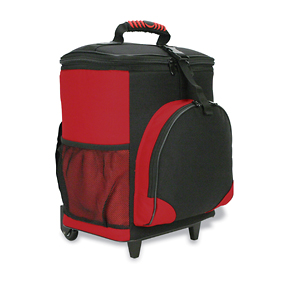 Rolling Cooler w/Detachable Lining for Easy Cleaning